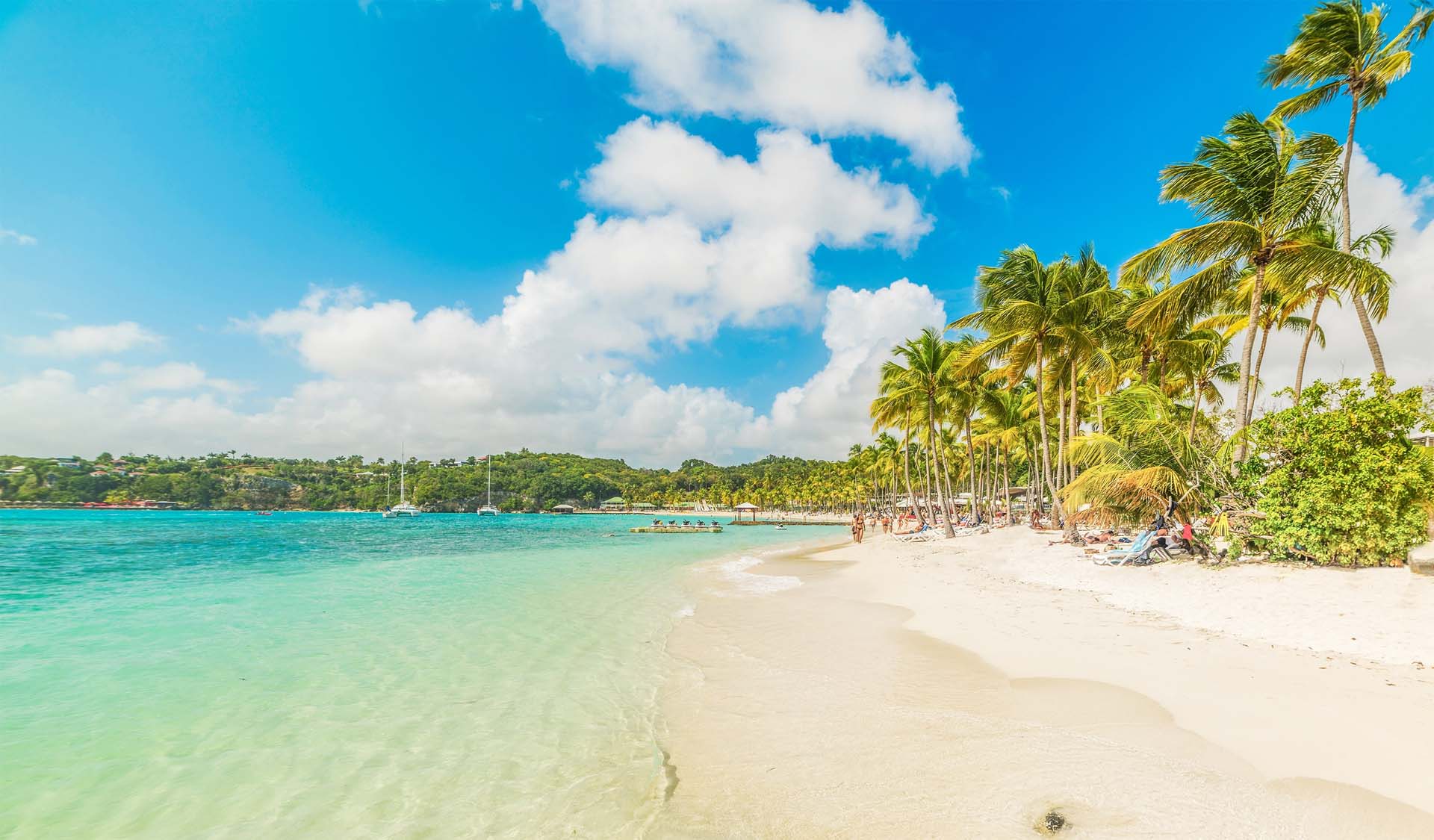 La Caravelle beach in Guadeloupe, French west indies. Lesser Antilles, Caribbean sea