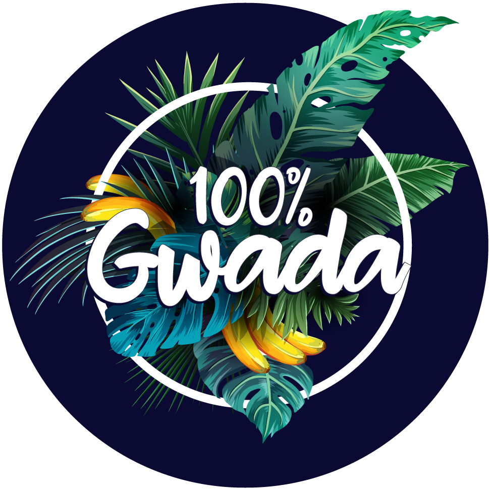 Logo 100 Gwada