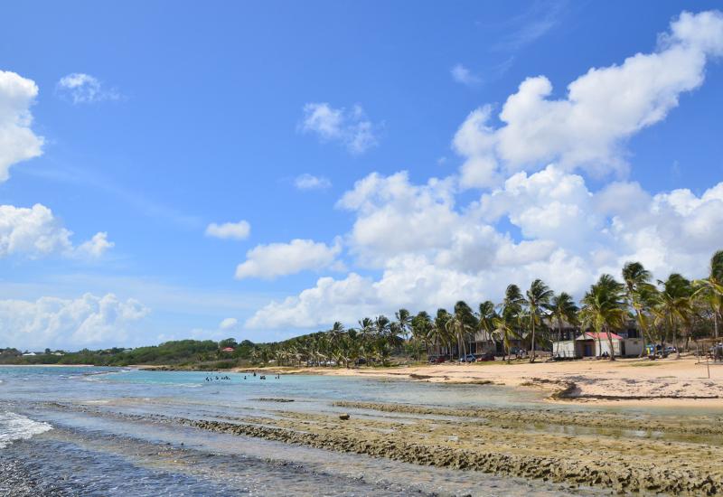 Plage de Montal / Dauphin – Le Moule : escapade sauvage et nature en Grande-Terre