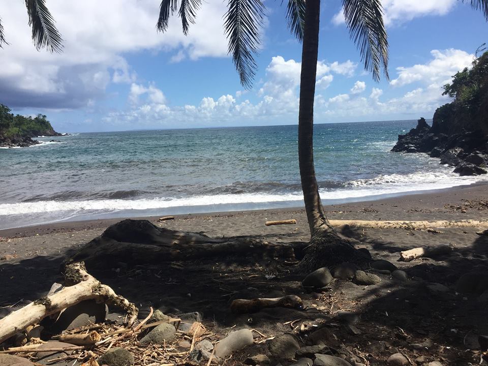 Plage du Bourg à Vieux-Habitants – Un havre de tranquillité au cœur du village