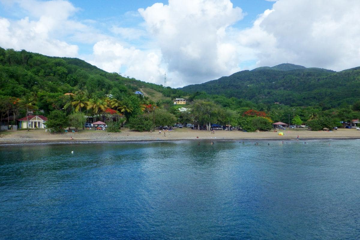 Anse Caraïbe - Pointe-Noire : plage familiale et snorkeling au cœur de la nature