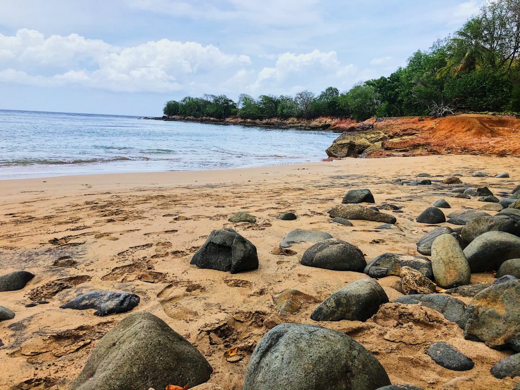 Anse des Îles – Sainte-Rose : une plage paisible entre nature et eaux cristallines