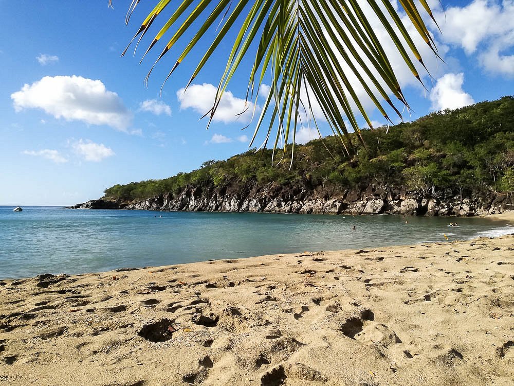 Plage de Petite Anse – Tranquillité et snorkeling à Pointe-Noire
