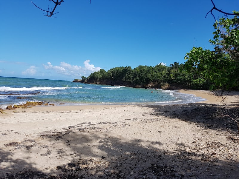 Plage de l’Anse Nogent – Sainte-Rose : calme, nature et baignade en famille