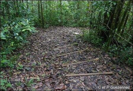 Randonnée Sentier d’interprétation du Houëlmont