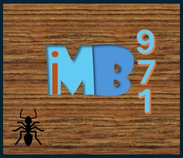 i MB 971