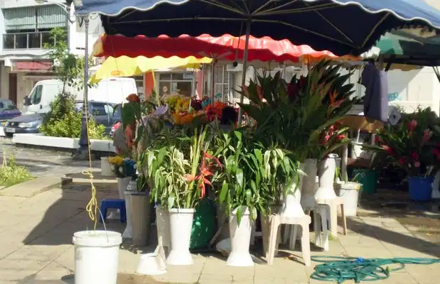 Le marché aux fleurs de Pointe-à-Pitre