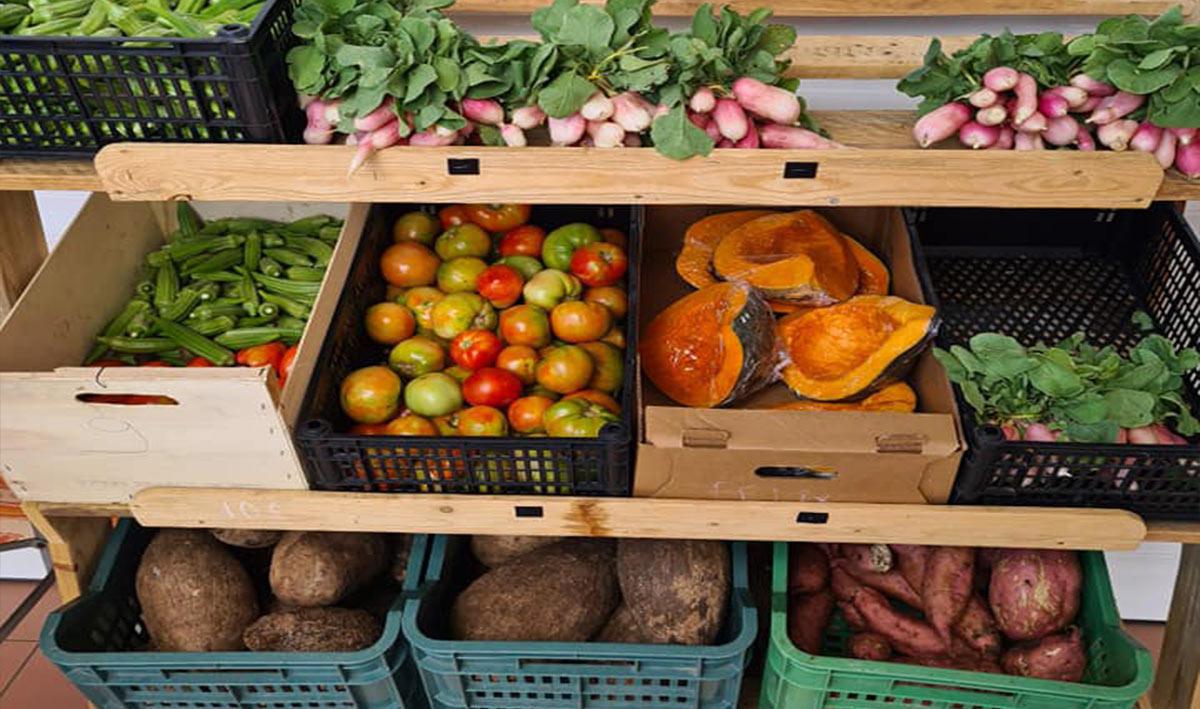 Marché de Baie-Mahault
