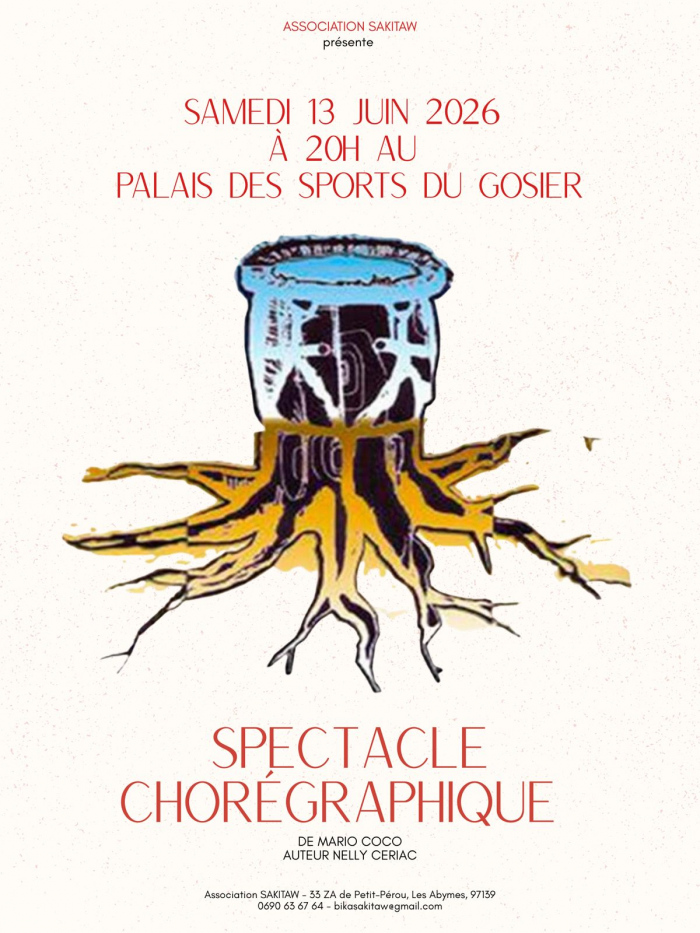 Spectacle chorégraphique de Mario Coco