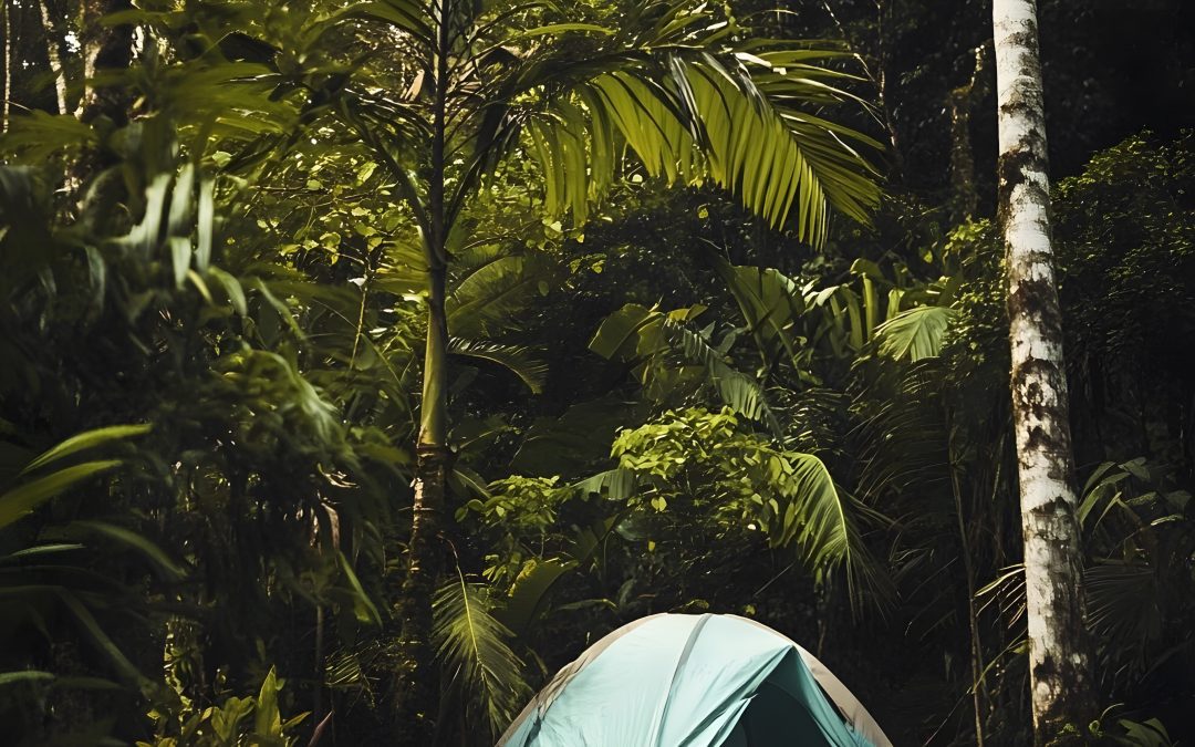 famille en camping forêt tropicale Guadeloupe