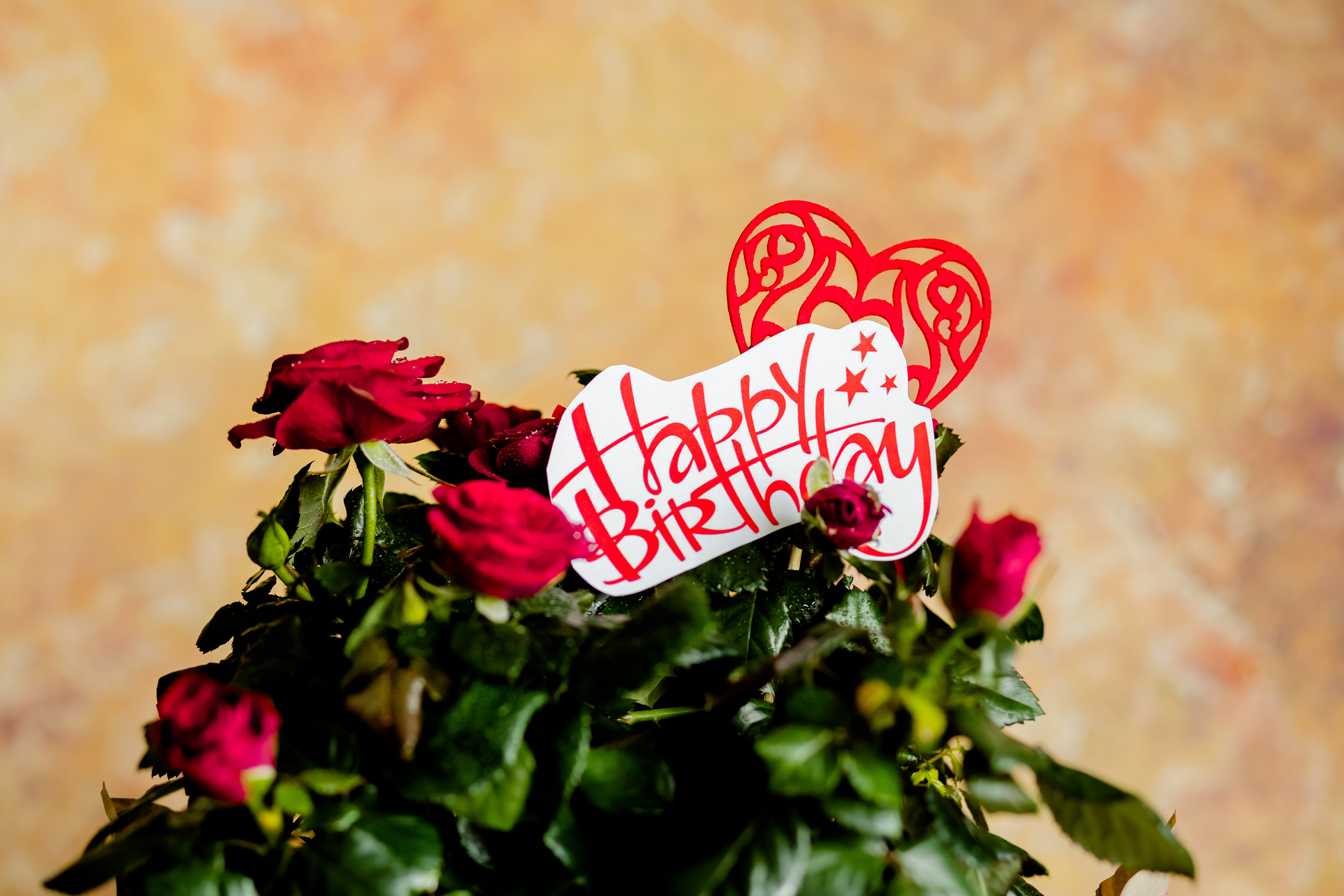 livraison de fleurs pour anniversaire en action