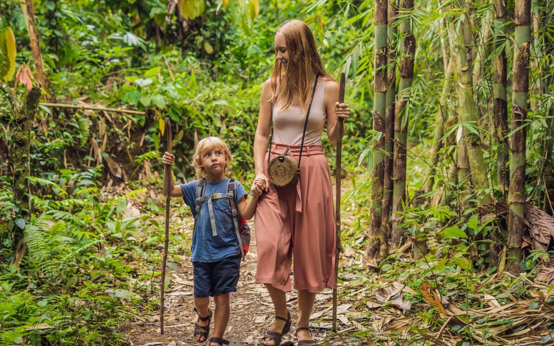 famille en exploration dans la forêt tropicale de Guadeloupe